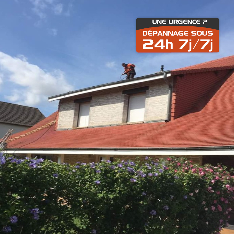 THM Couvreur 78 shoe