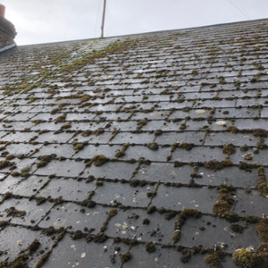 THM Couvreur 78 Image